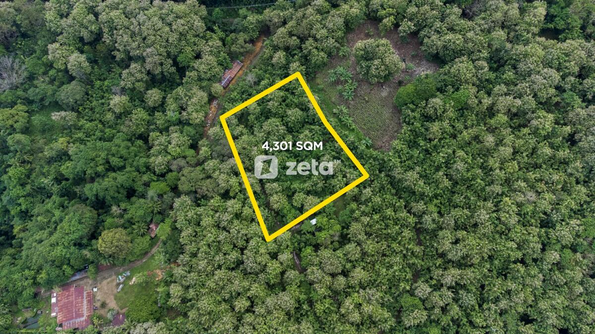 Malasag 4,301 sqm Property with View